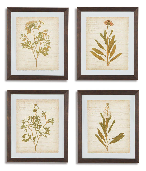 Dyani Wall Art (Set of 4) image